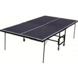 Tênis de mesa oficial