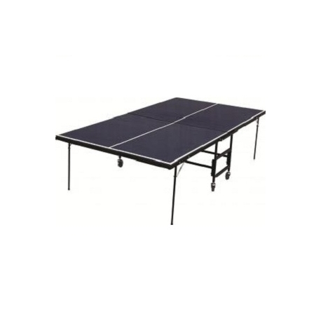 Pebolim champion team