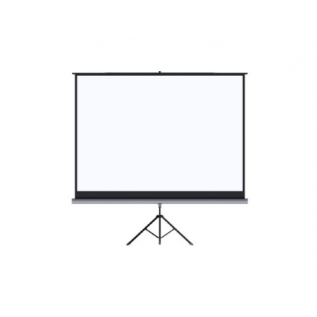 Tela retrátil de parede enrolamento com molas